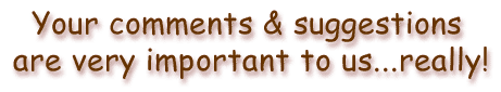 Your comments and suggestions are very important to us...really!